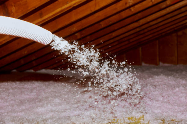Best Commercial Insulation in Pleasant Hill, IA
