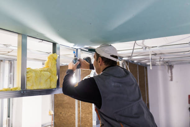 Best Commercial Insulation in Pleasant Hill, IA
