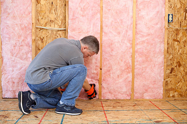 Best Energy Efficiency Solutions in Pleasant Hill, IA